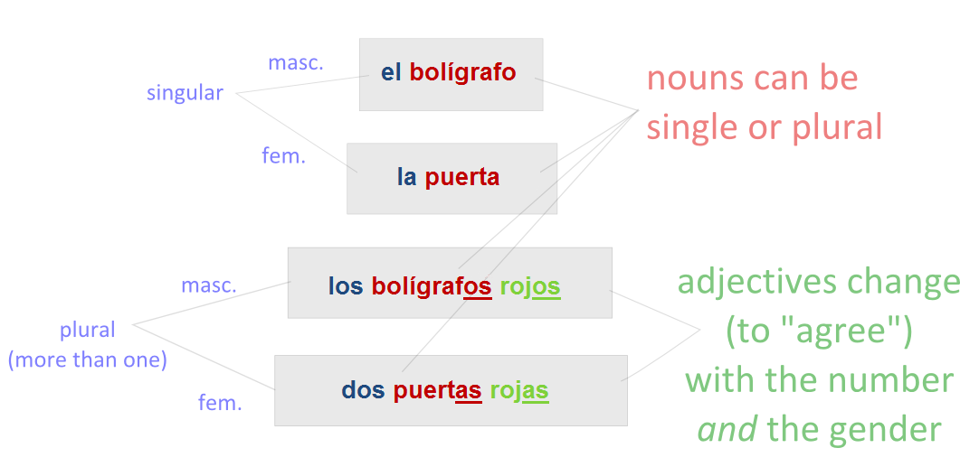 Spanish Grammar - Plural